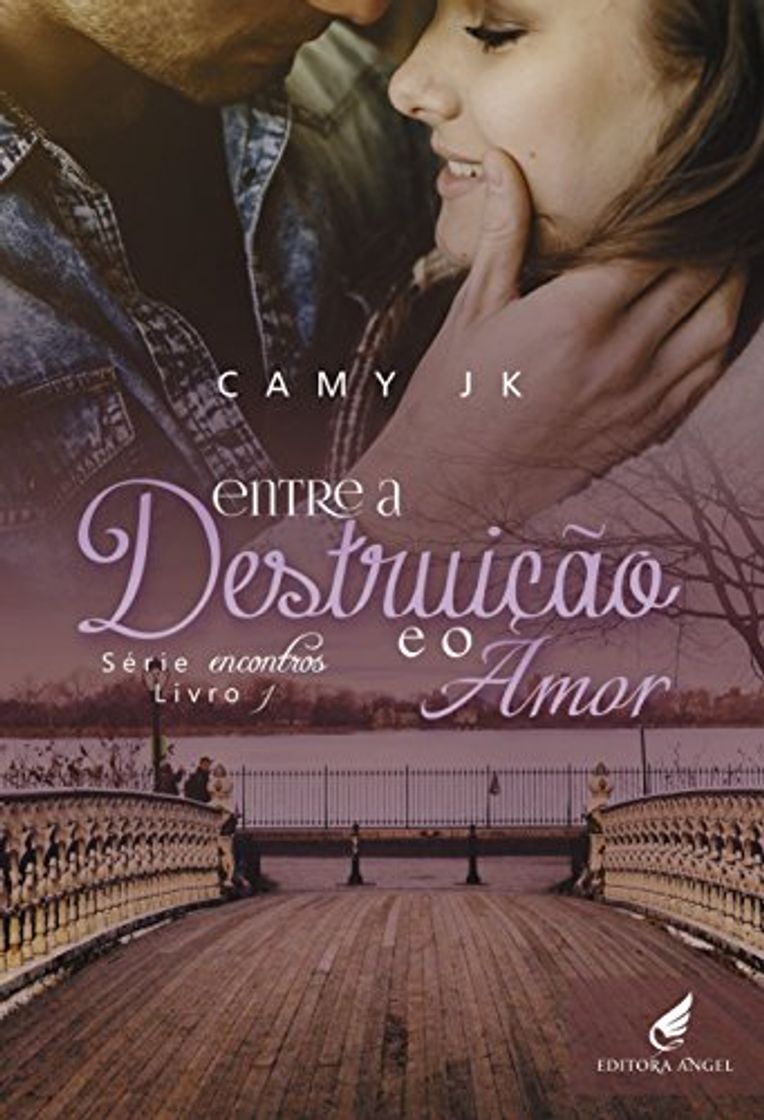 Book Entre a destruição e o amor