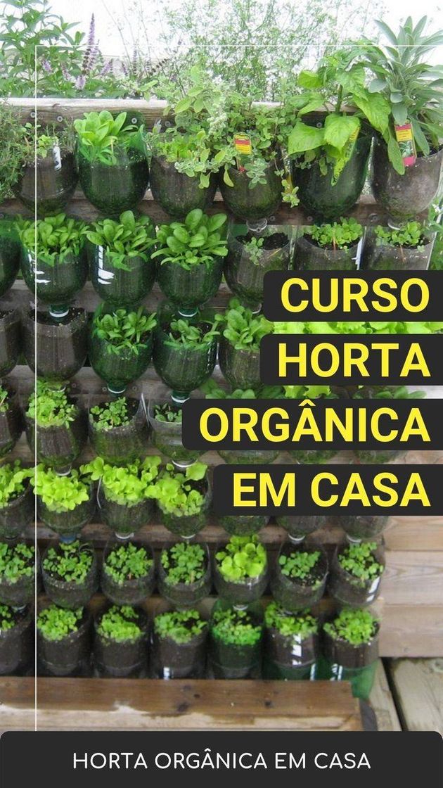 Moda Horta orgânica