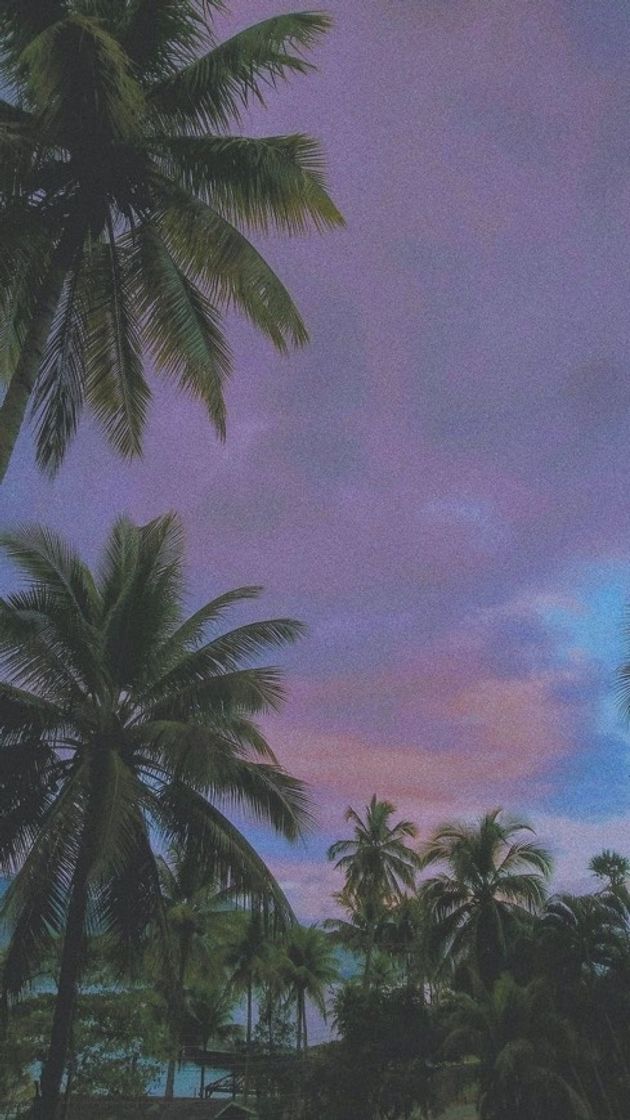 Social •