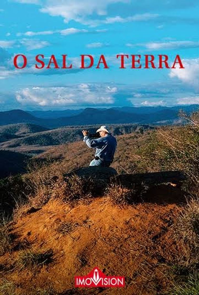 Moda O Sal da Terra 