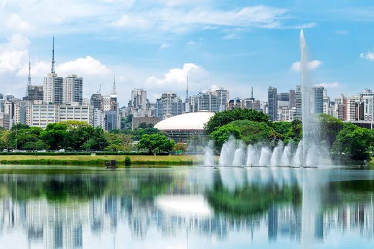 Lugar Parque Ibirapuera Conservação