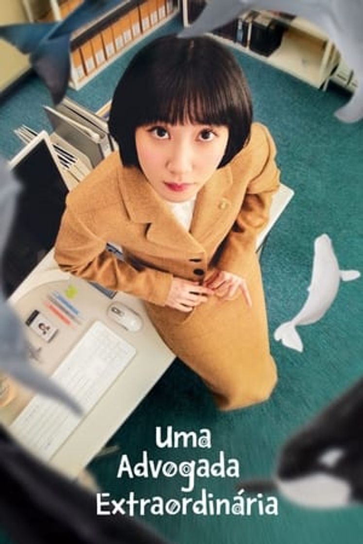 Serie Woo, Una Abogada Extraordinaria