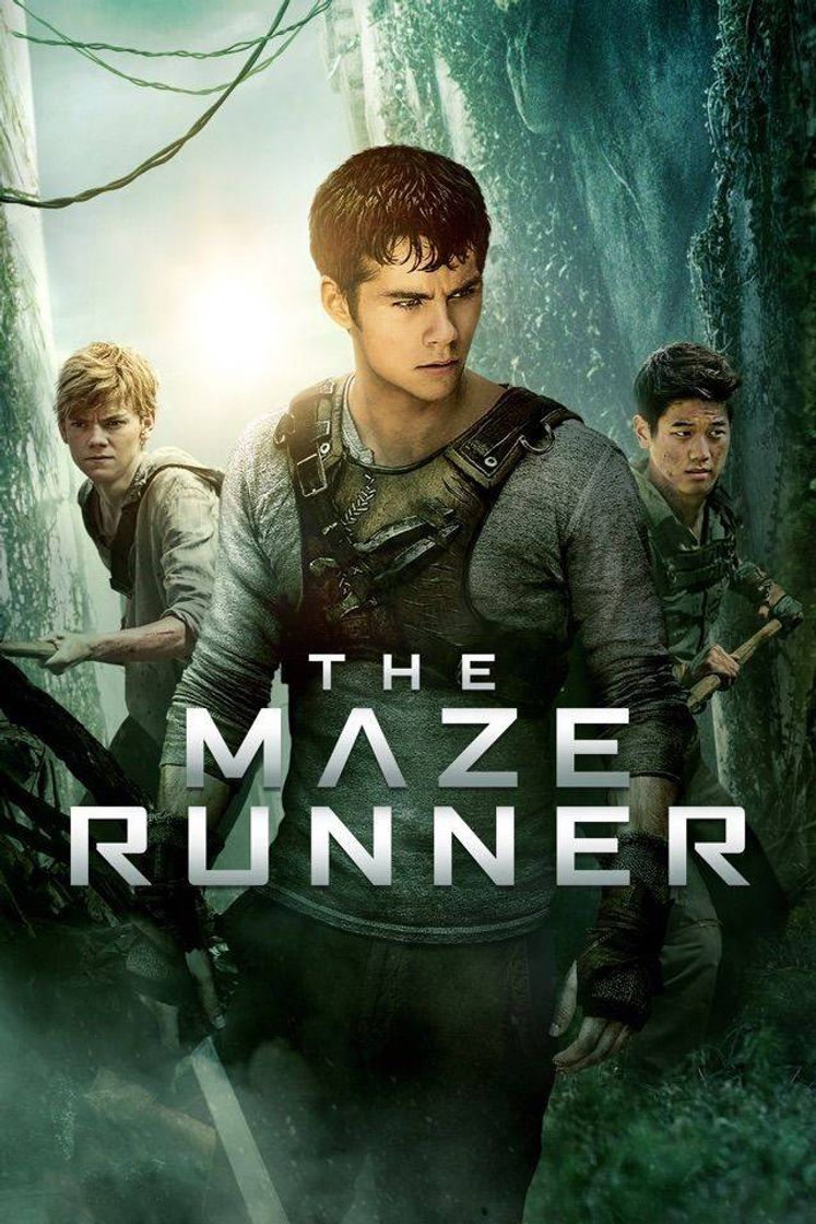 Maze Runner Correr Ou Morrer