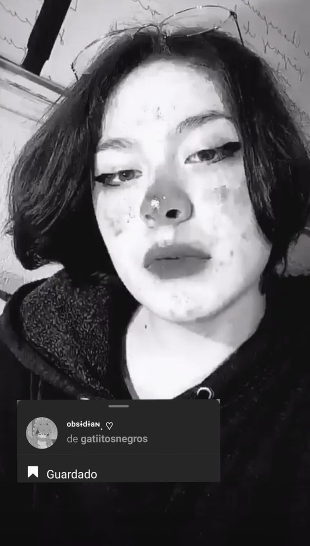 Social Camera instagram 