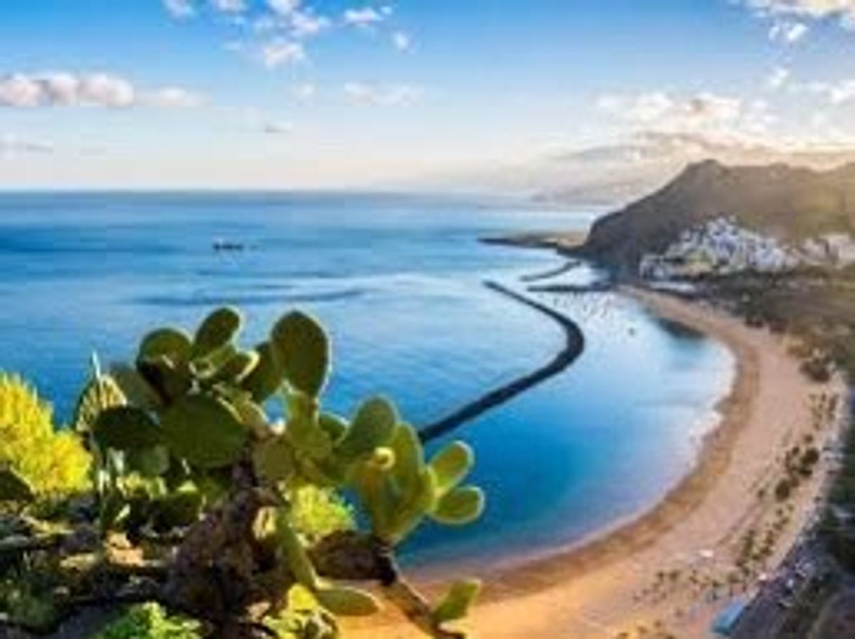 Place Islas Canarias