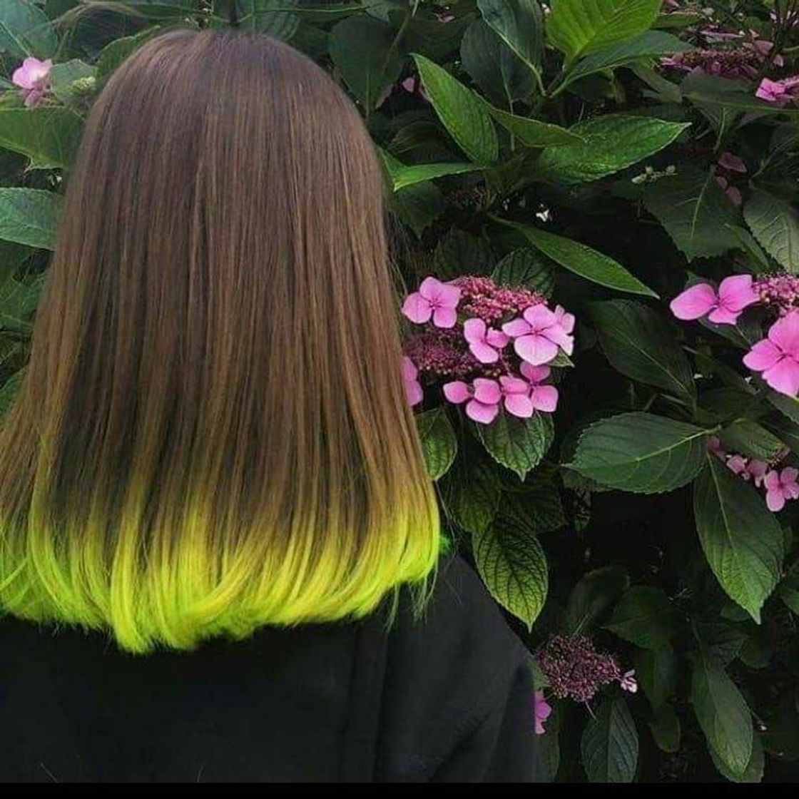 Moda Cabelo colorido 🌈