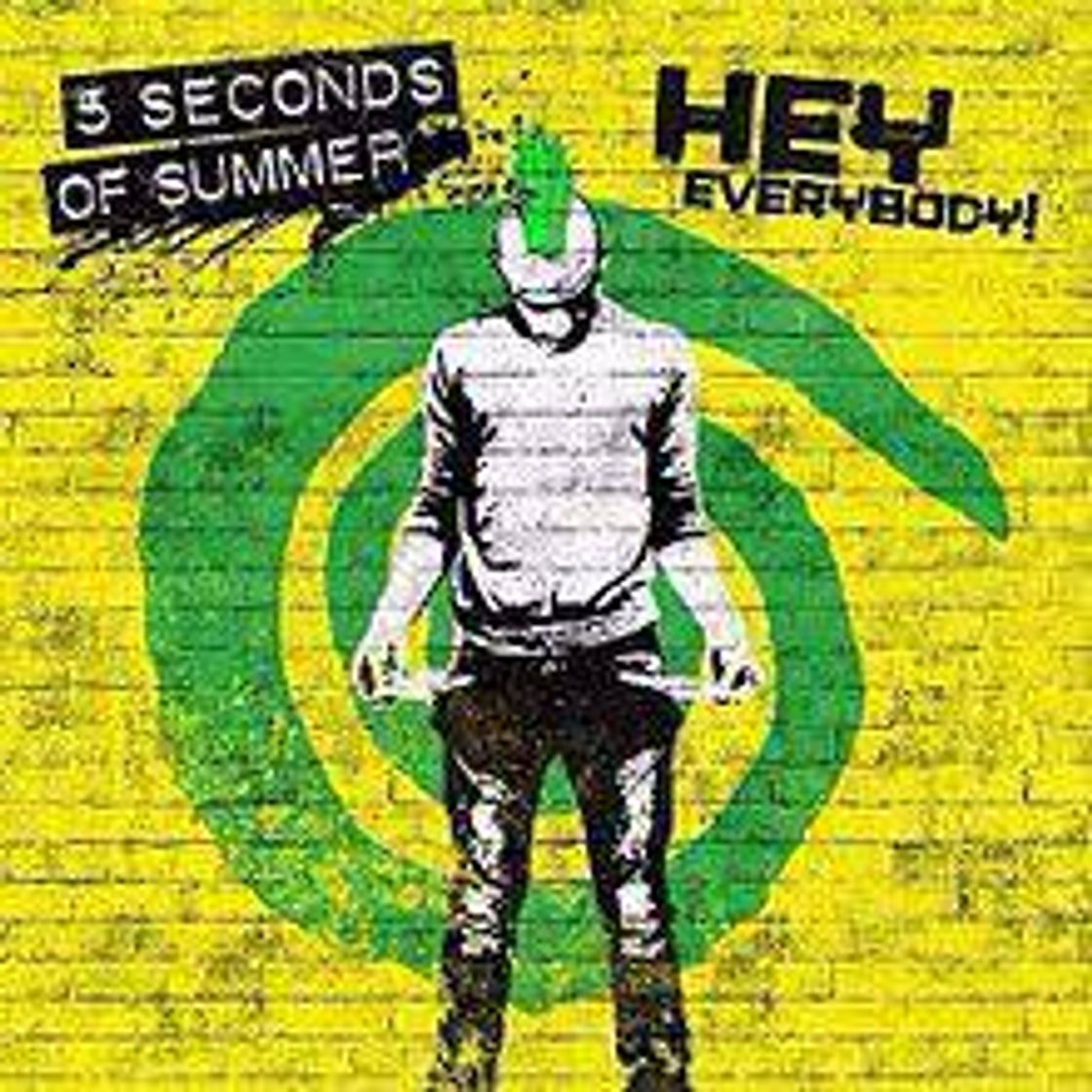 Canción 5 Seconds of Summer - Hey Everybody

