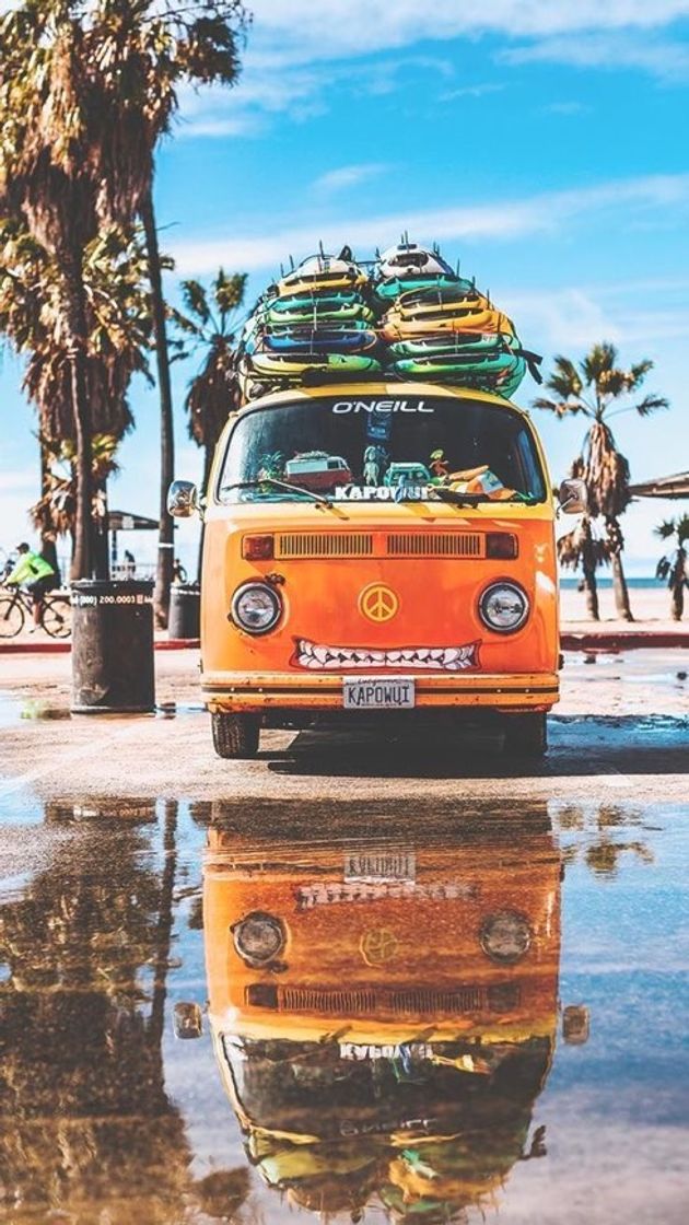 🚌🌊