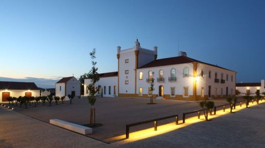 Torre de Palma Wine Hotel, Monforte, a Member of Design Hotels