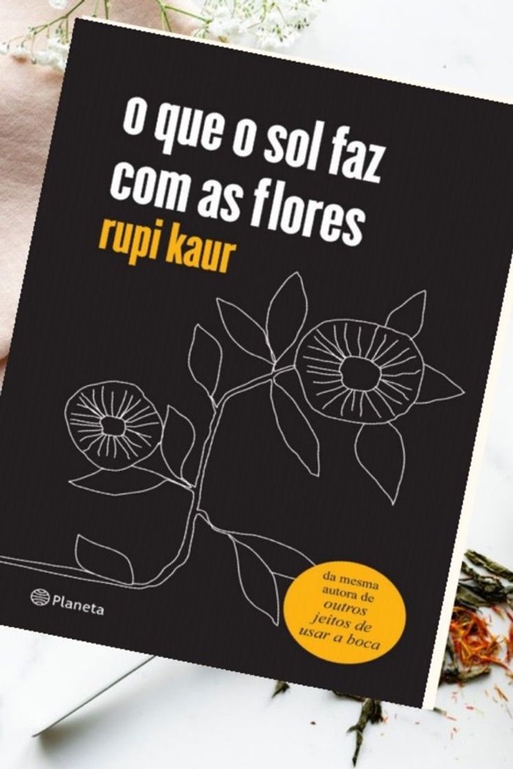 Books Livro: o que o sol faz com as flores 