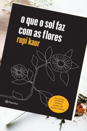 Livro: o que o sol faz com as flores 