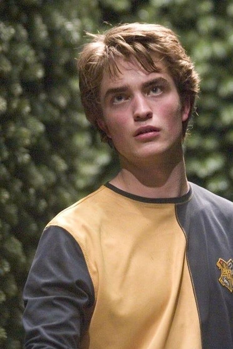 Fashion Diggory 