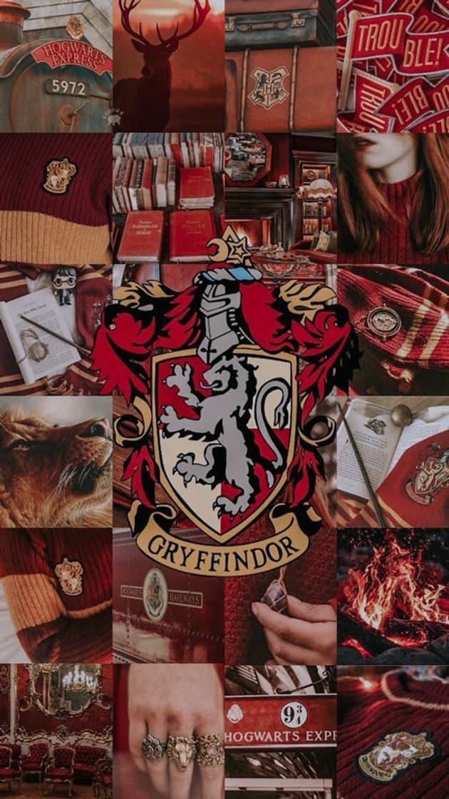 Fashion Gryffindor 