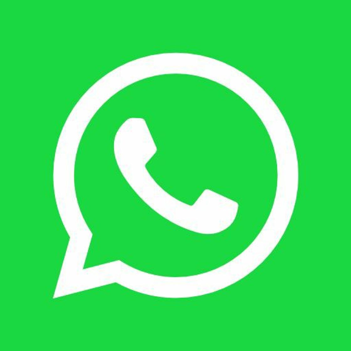 App WhatsApp 