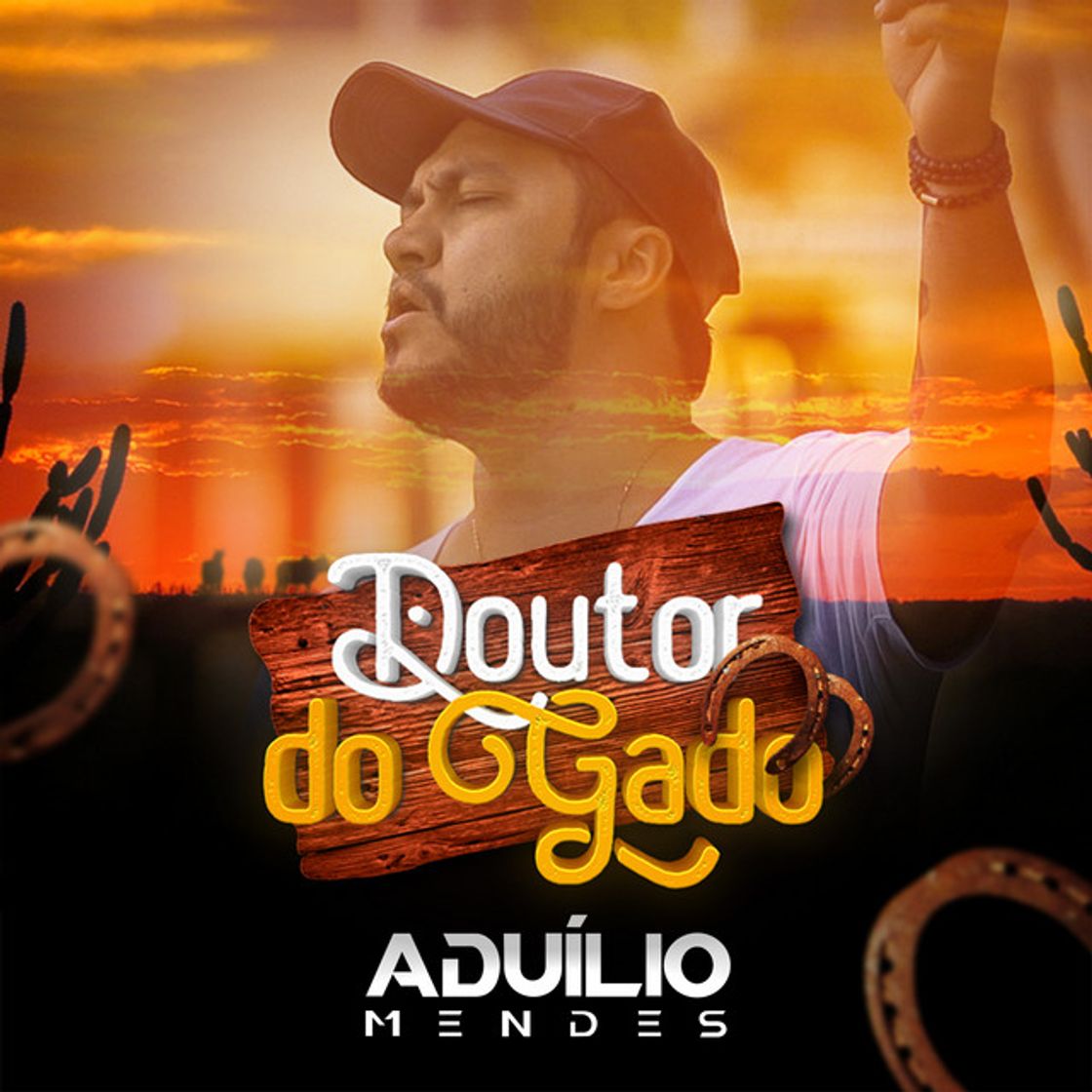 Music Doutor do Gado