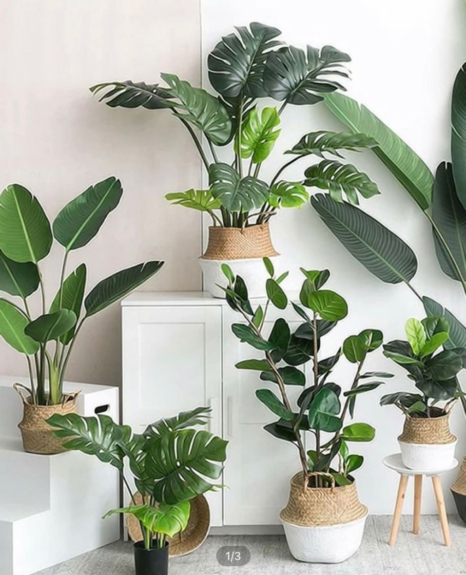 Fashion Plantas artificiais para decorar seu quarto, sala e etc