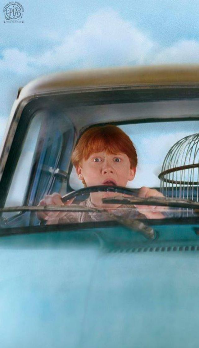 Fashion Ronald Weasley 