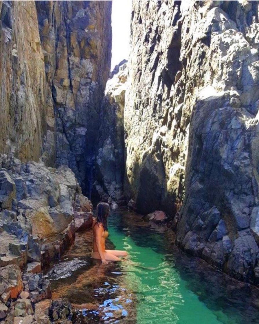 Fernando de Noronha ✈️🌎