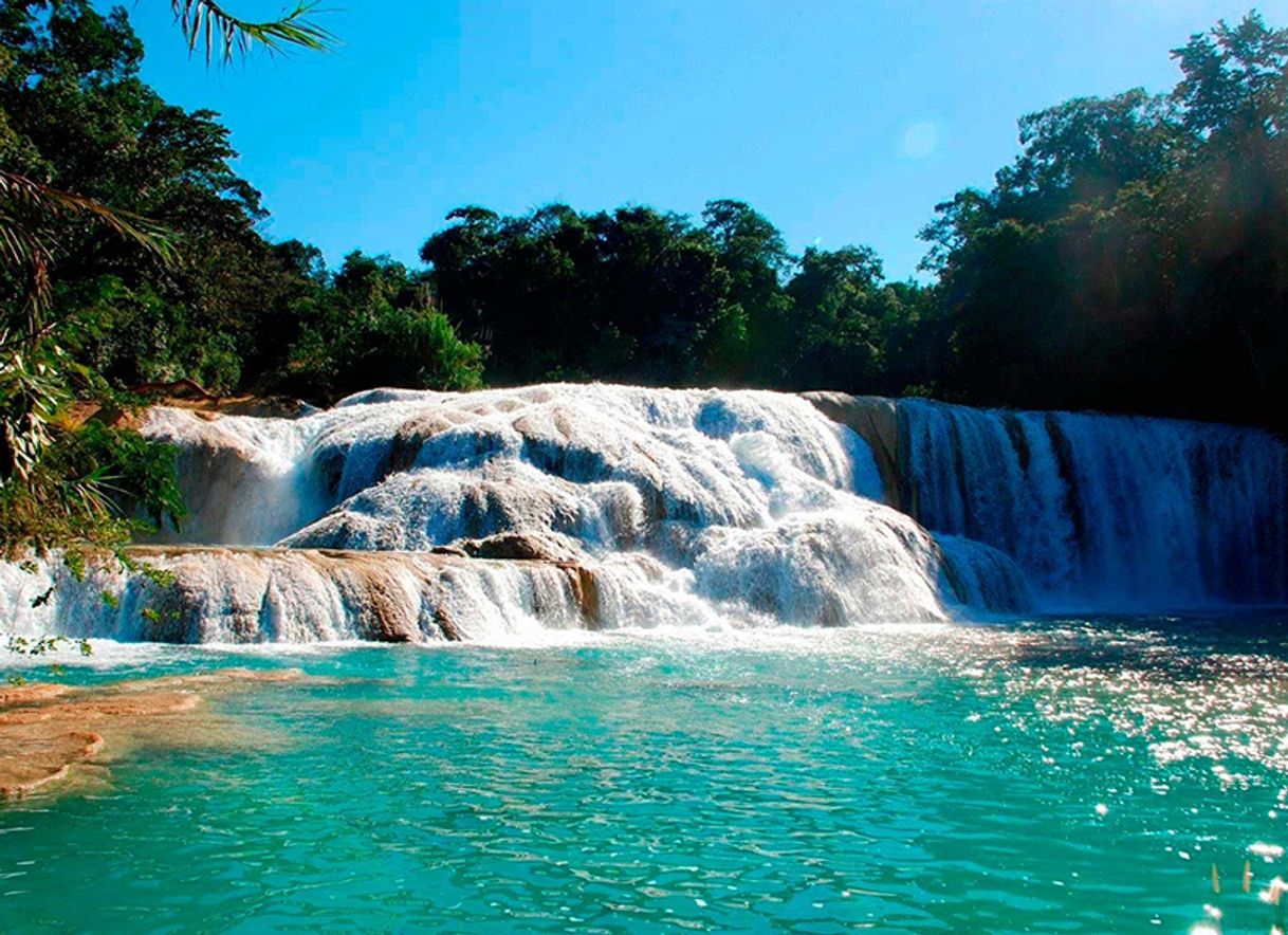 Cascadas de Agua Azul