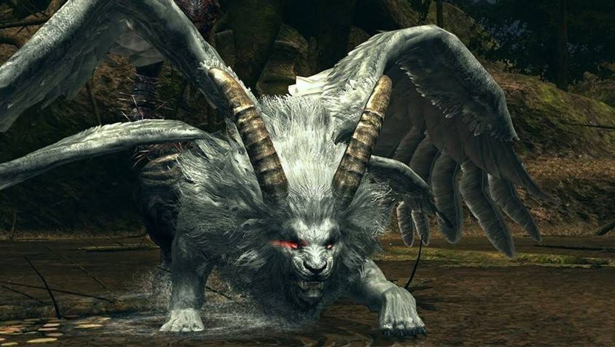 Social Guardián del Santuario