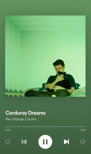 Corduroy Dreams-Rex orange