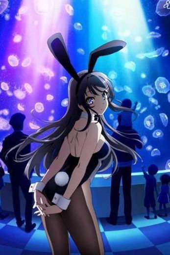 Assistir Seishun Buta Yarou wa Bunny Girl Senpai no Yume wo ...