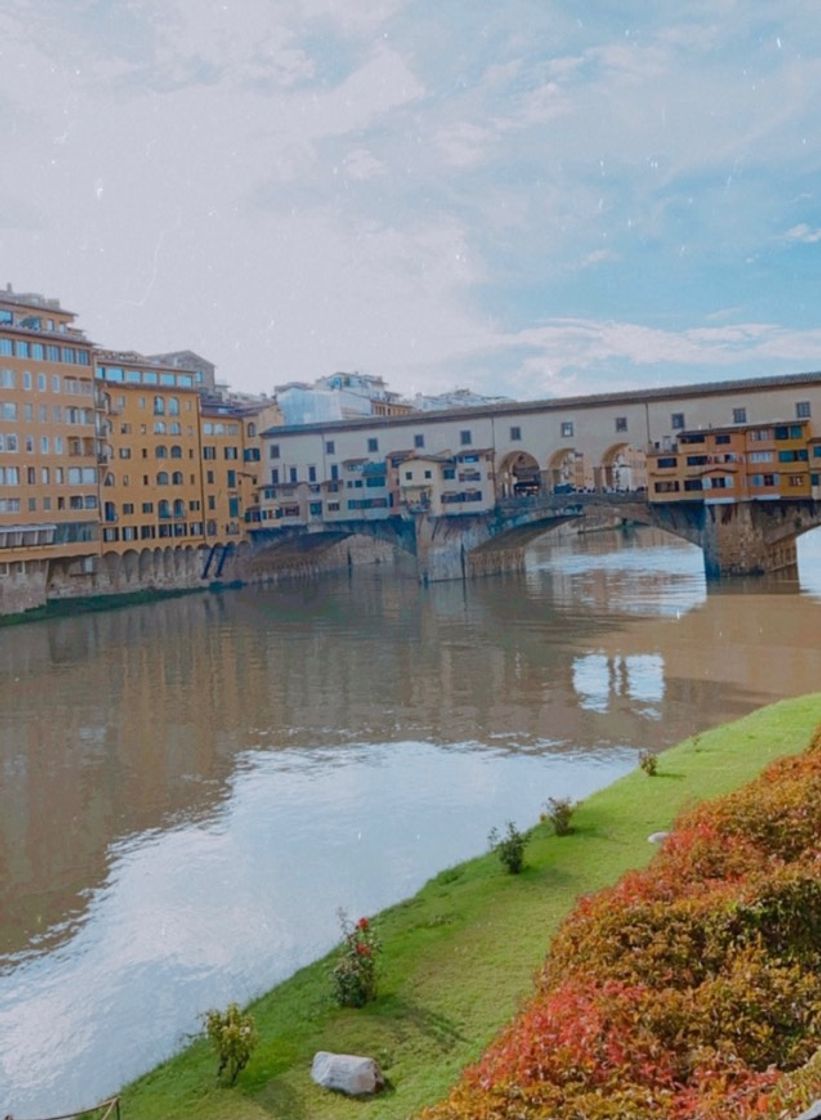 Place Arno Bridge