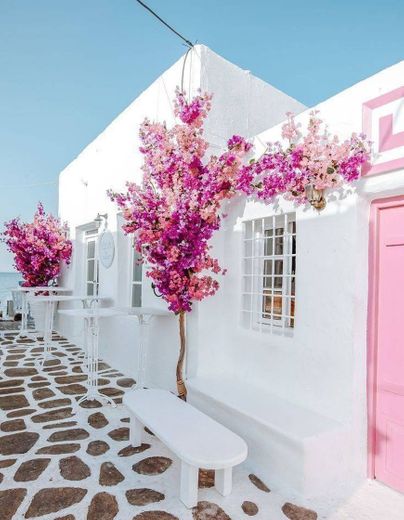 beautiful springs colors in Greece