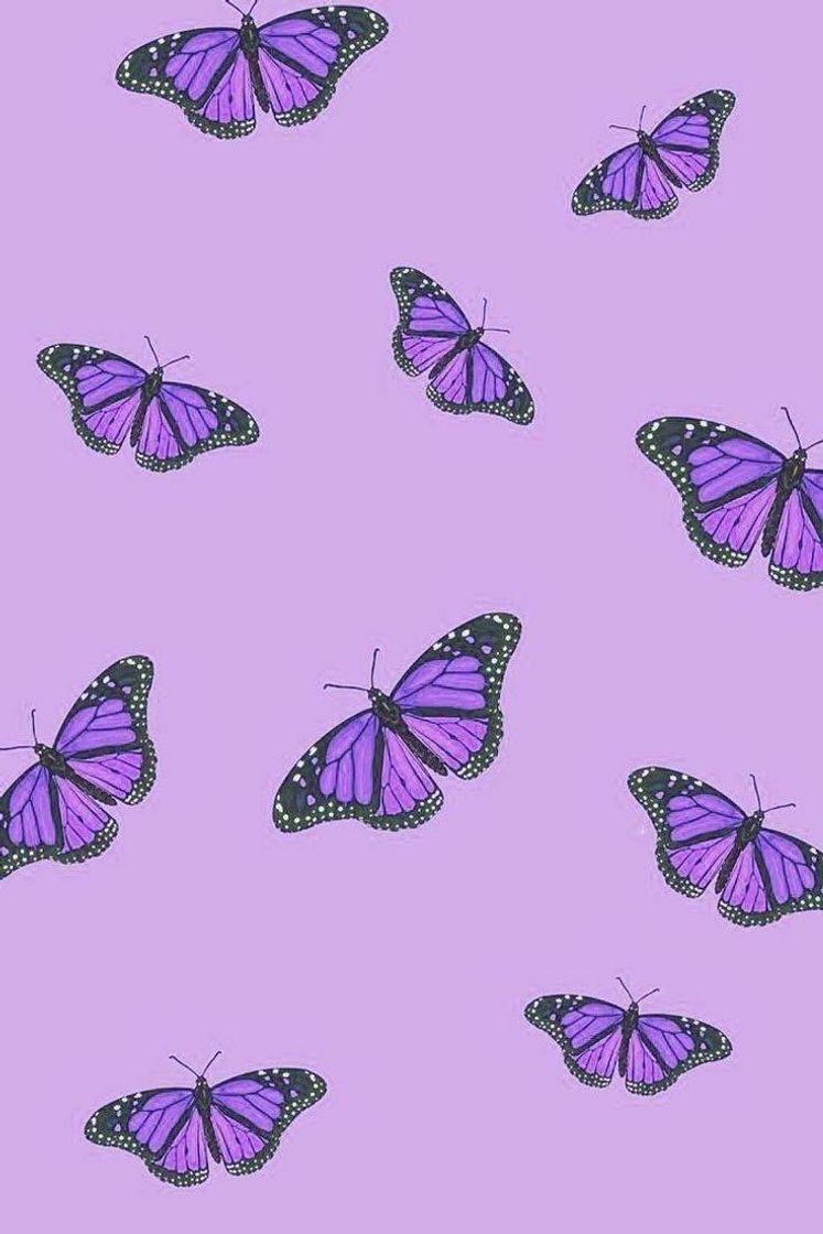 Fashion purple butterflies