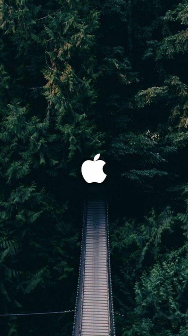Social Papel de parede para iPhone 📱 🤍