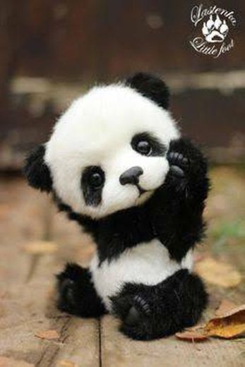 Aaaaah 😍 Panda 🐼