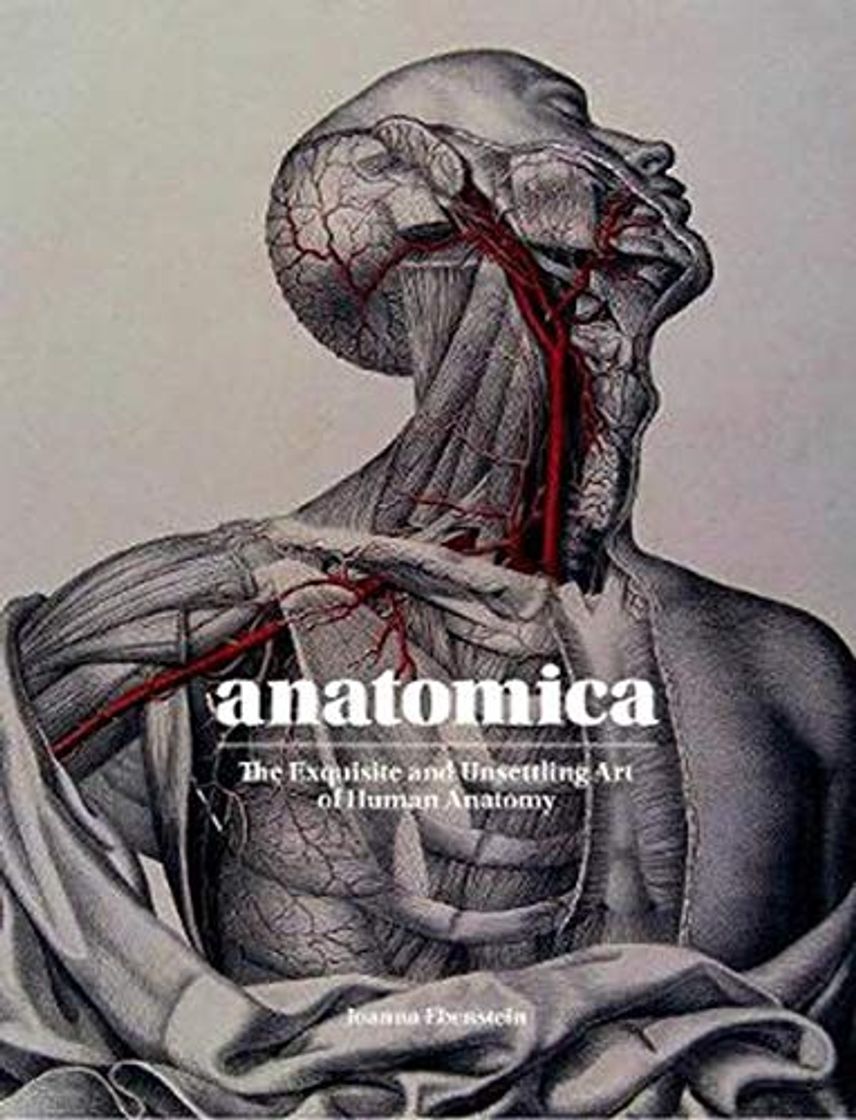 Libros Anatomica: the exquisite and unsettling art of human anatomy