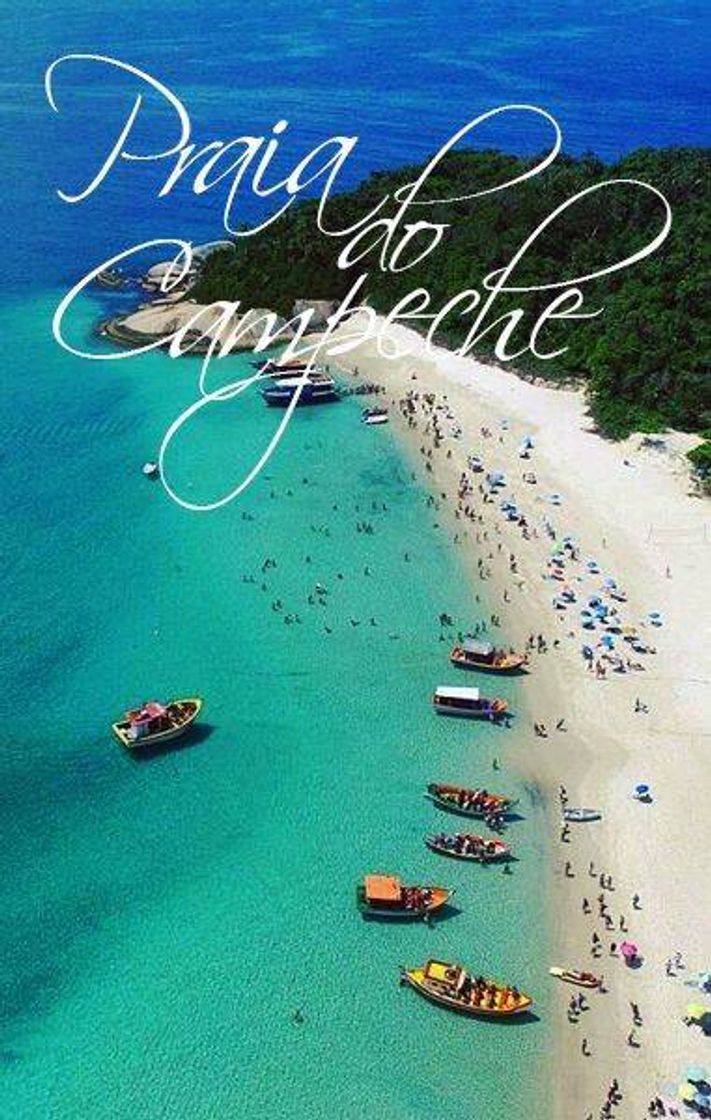 Place Praia do Campeche