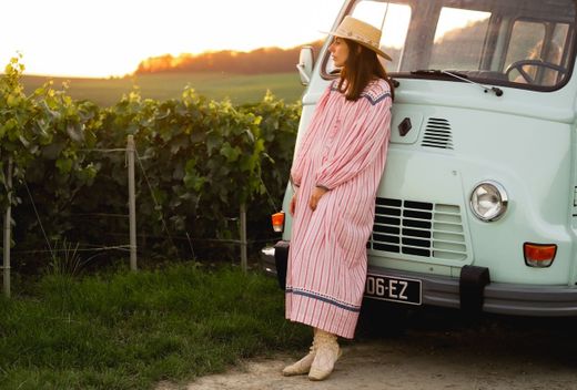 My Vintage Tour Company: Wine tours in Champagne in a vintage van