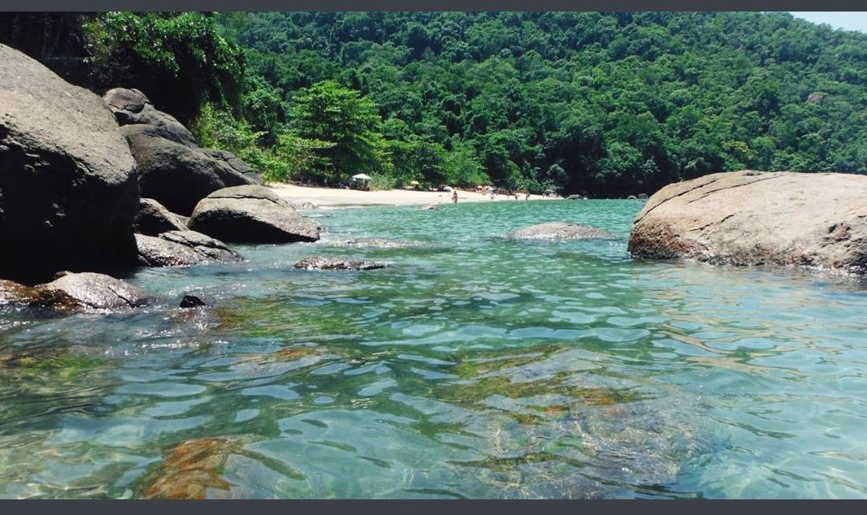 Moda Praia fortaleza ubatuba