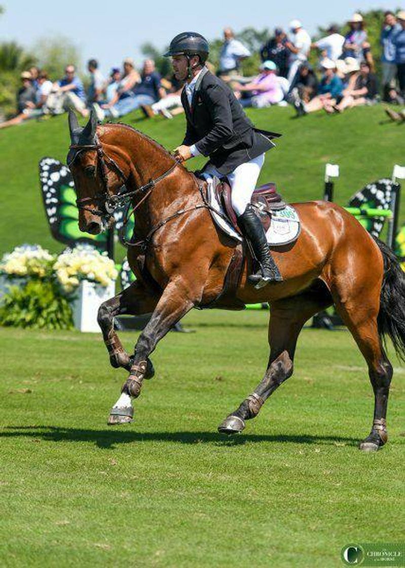 Moda Cavalo 🇧🇷 de Hipismo 