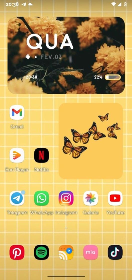 🍃Organização de celulares🍃