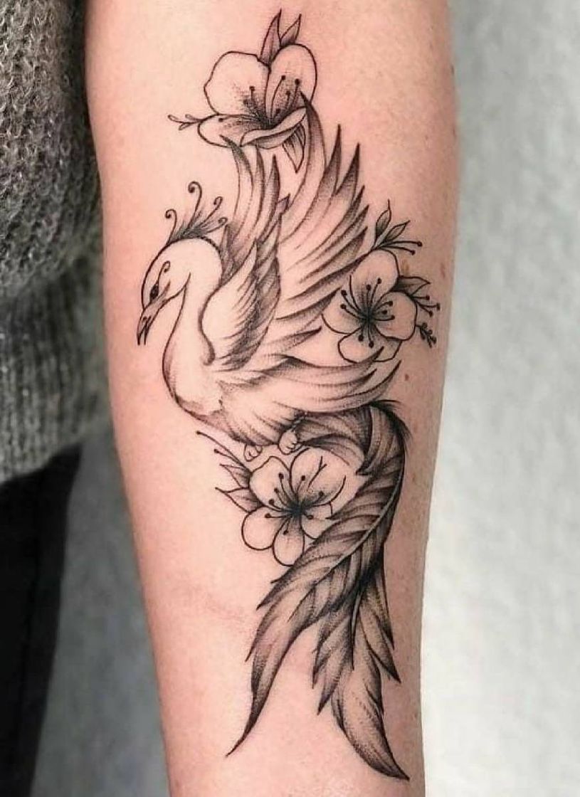 Social Tatuagem 