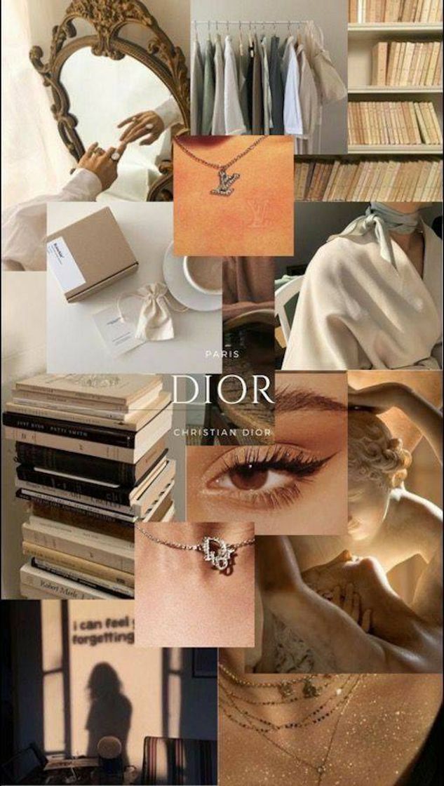 Fashion Colagem Dior