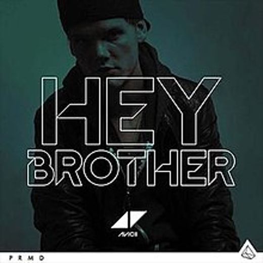 Hey Brother | Avicii