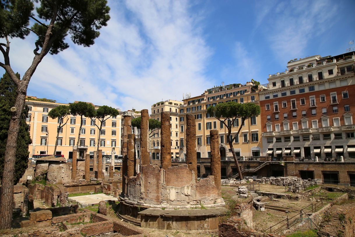 Places Largo di Torre Argentina