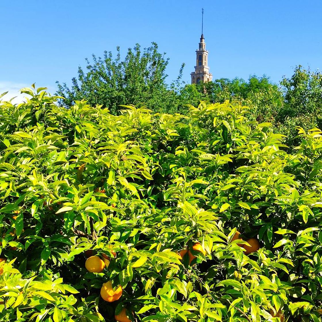 Lugar Jardín Botánico Atlántico