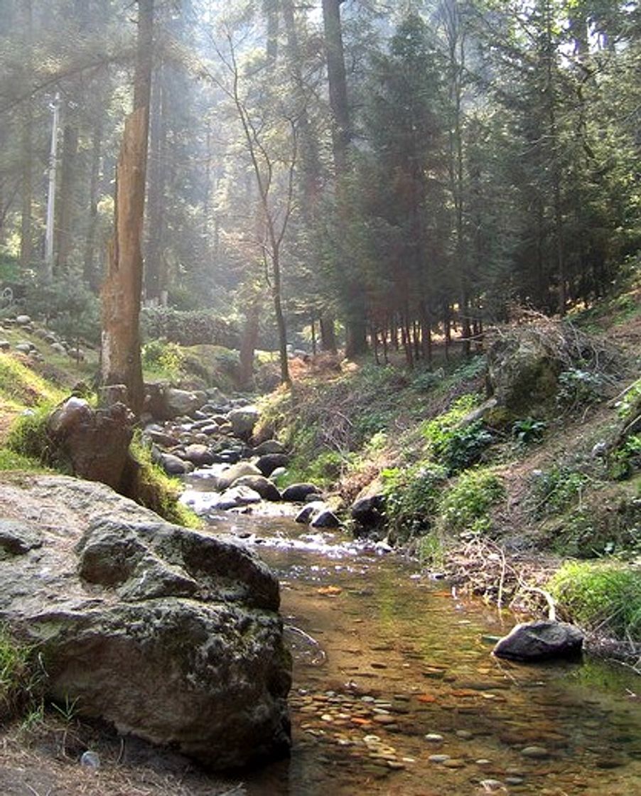 Lugar Valle de Las Monjas