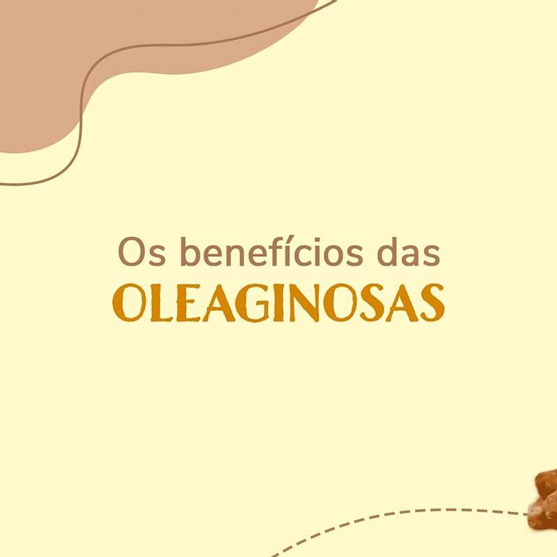 Fashion Os Benefícios Das Oleaginosas ❤🌰