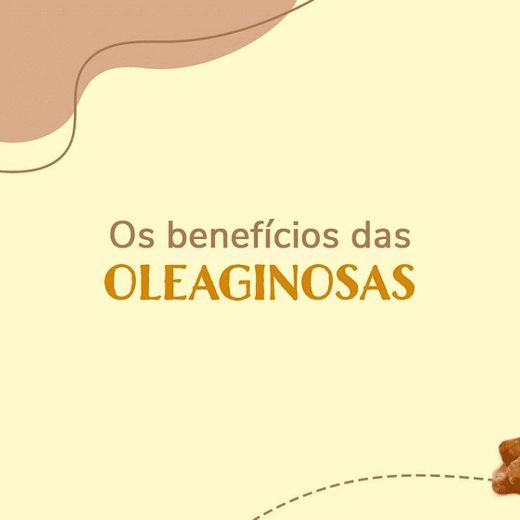 Os Benefícios Das Oleaginosas ❤🌰