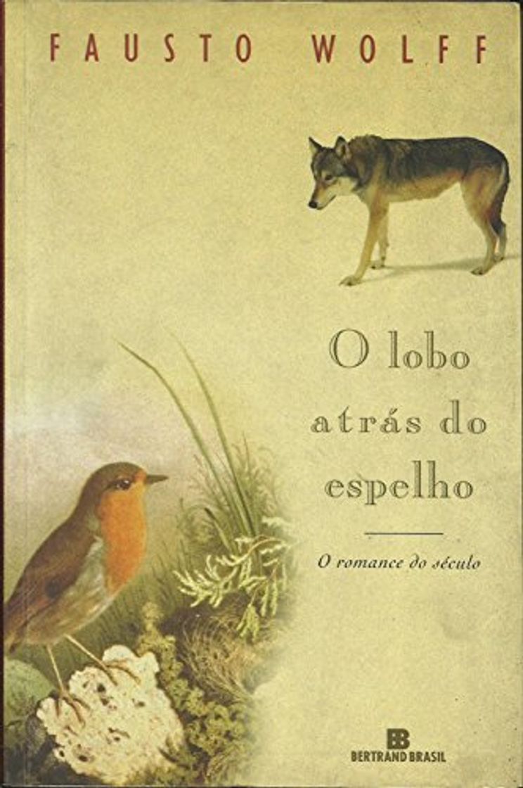 Books O Lobo Atras Do Espelho