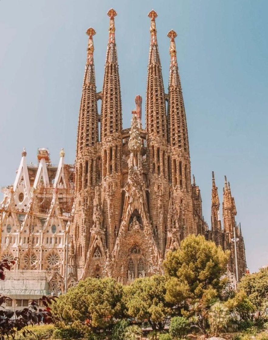 Moda Sagrada Família