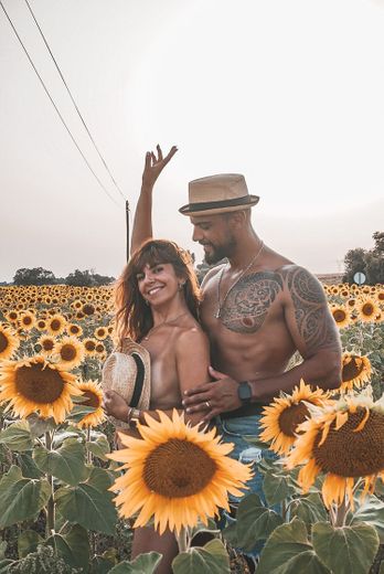 Sunflowers Creative