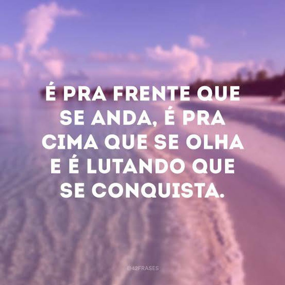 Fashion Frase do dia❤