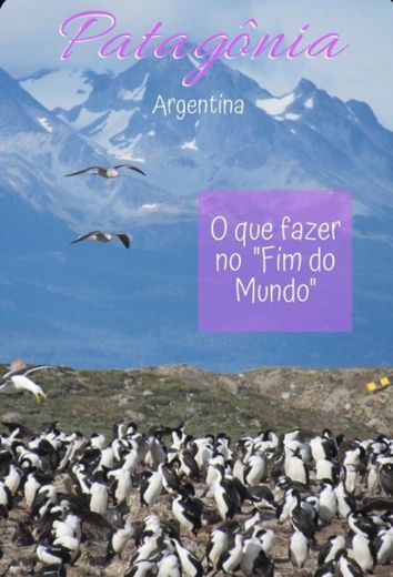 O que fazer na PATAGÔNIA, Argentina? 🇦🇷💙